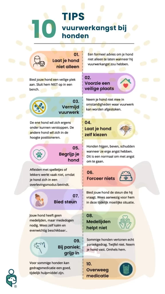Vuurwerkangst bij honden infographic 10 praktische tips