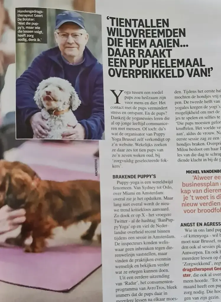Geert De Bolster in tijdschrift