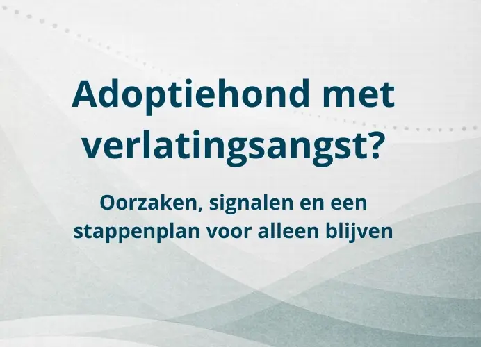 Adoptiehond met verlatingsangst tumb