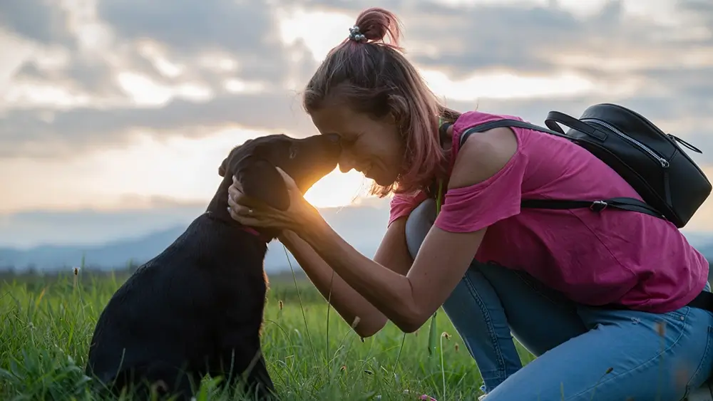 Hond luistert niet bij loslopen connectie maken