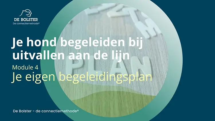 uitvallen aan de lijn je begeleidingsplan Geert De Bolster