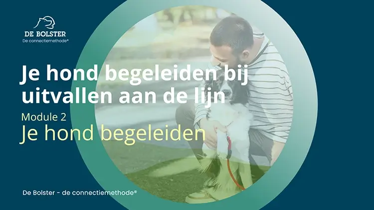 uitvallen aan de lijn je hond begeleiden Geert De Bolster