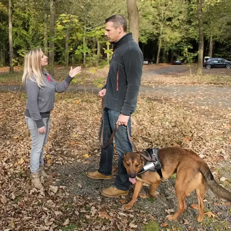 Puppyexperte Lindsey De Bolster