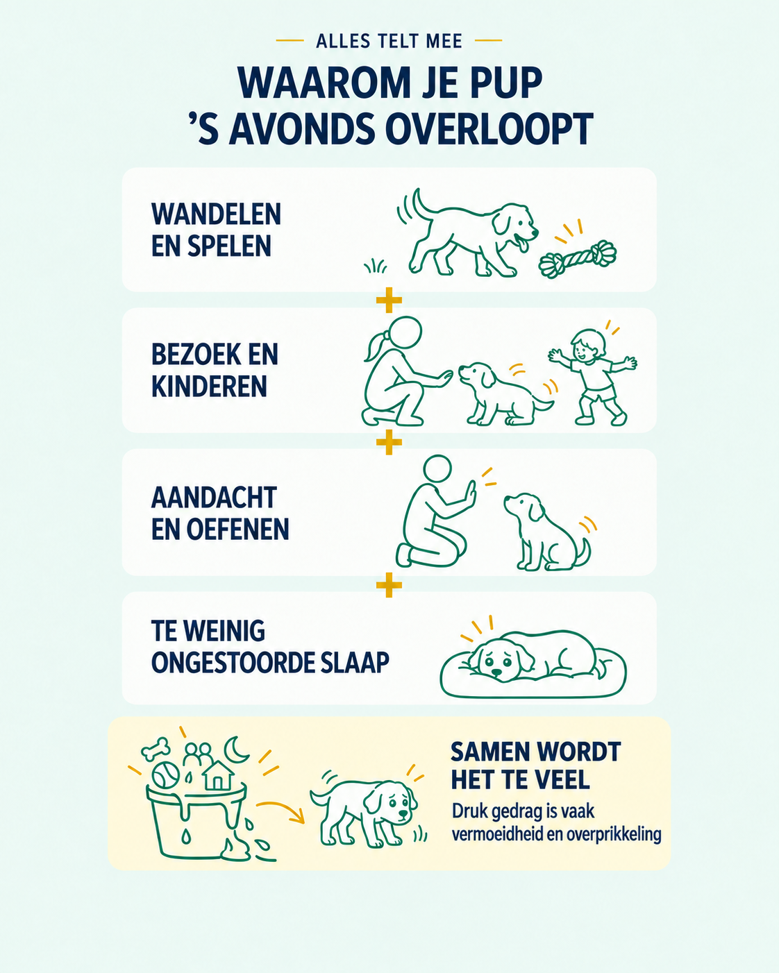 Infographic waarom je pup 's avonds druk is.