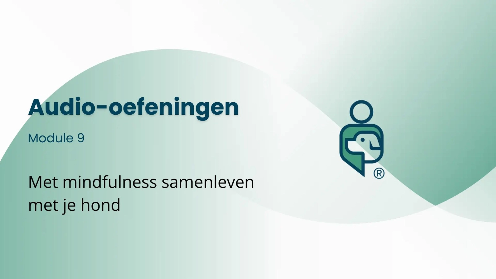 Mindfulness audio oefeningen module 9