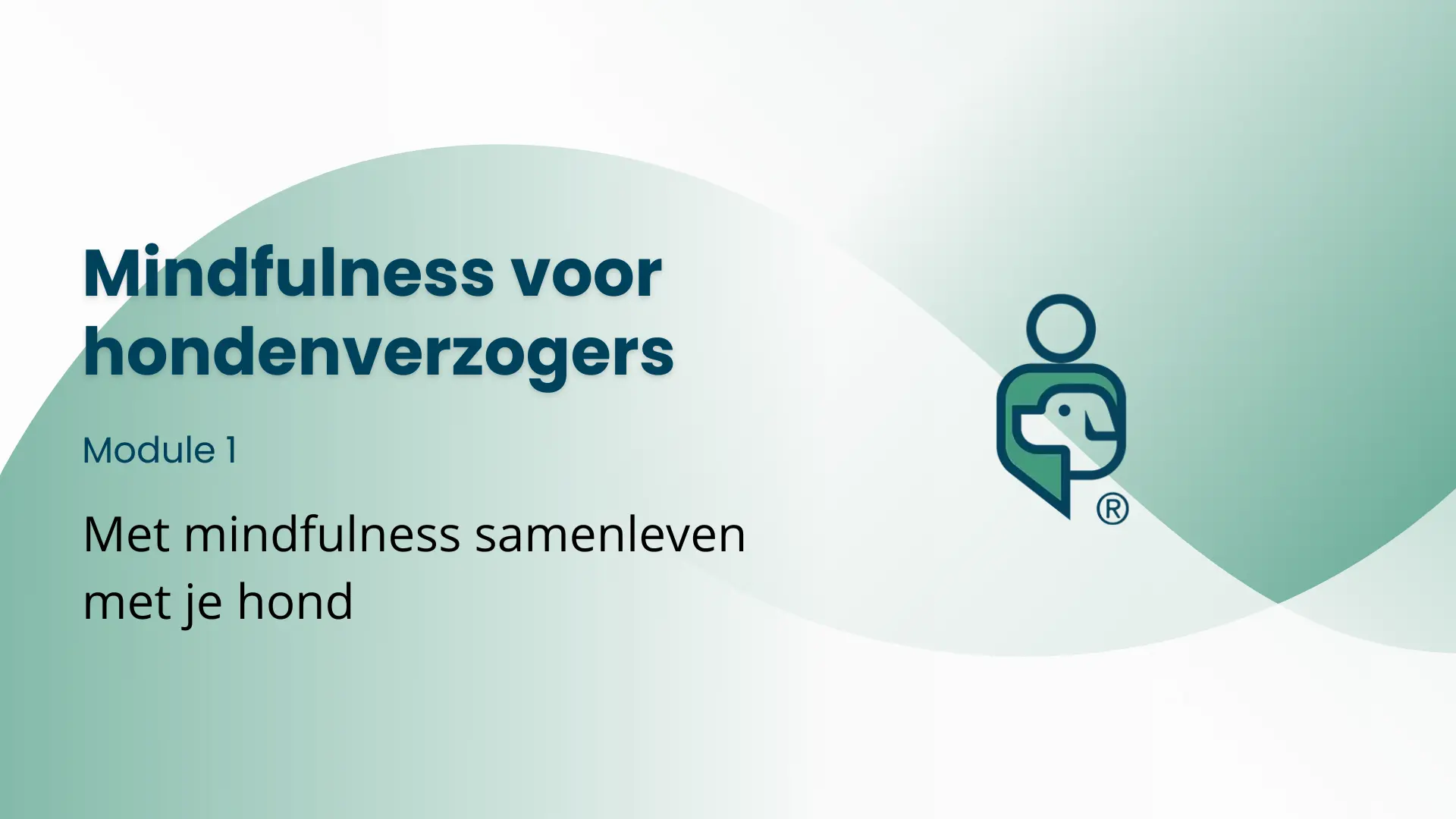 mindfulness-hondenverzorgers-module-1