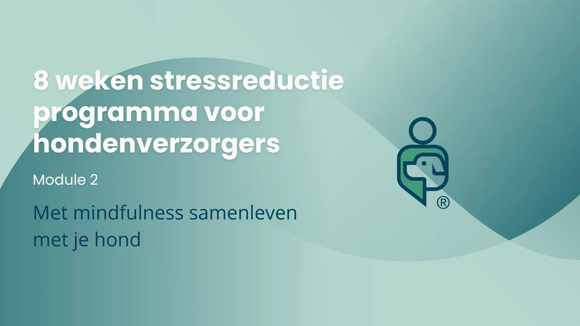 stressreductieprogramma-hondenverzorgers-module-2