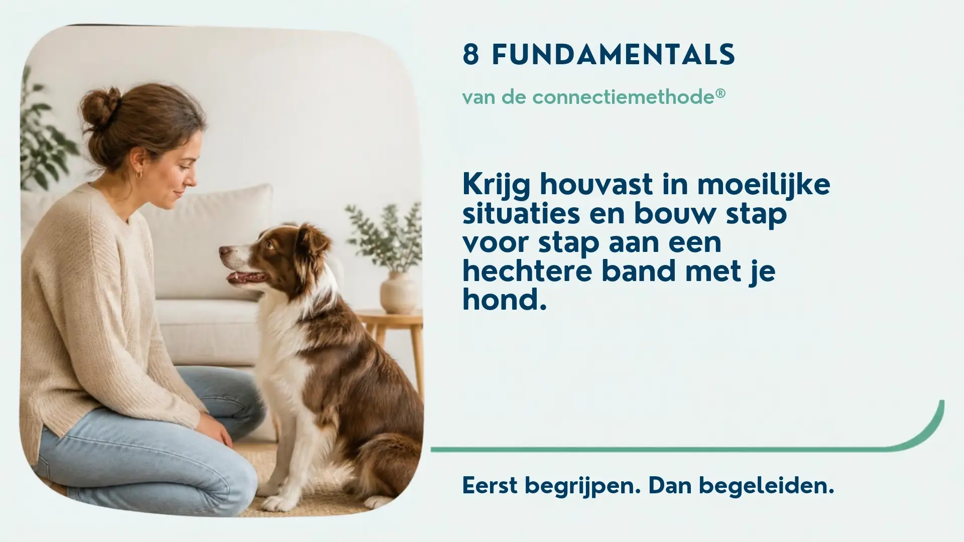8 fundamentals online programma